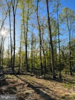 0 Magnolia unit WVMO2001622, Paw Paw, WV 25434 - photo 4