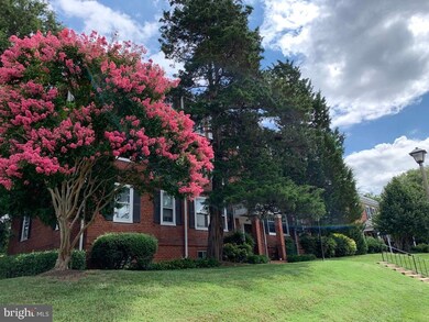 4623 31st Rd S unit B1, Arlington, VA 22206 - photo 2