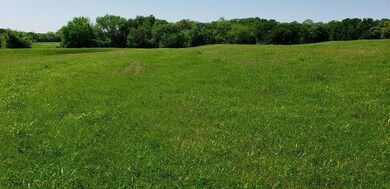 14355 Liberty School Rd, Azle, TX 76020 - photo 6