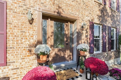 161 Cross Timbers Ct, Saint Charles, MO 63304 - photo 5