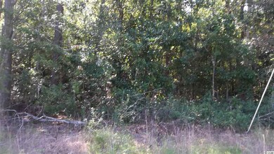 0 Cates Bay Rd unit 1618286, Conway, SC 29527 - photo 2