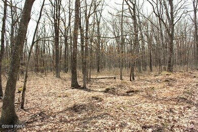 220 Mountain Top Rd, Lackawaxen, PA 18435 - photo 6