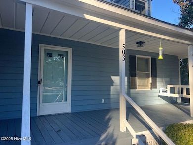 503 Alderson Rd, Washington, NC 27889 - photo 4