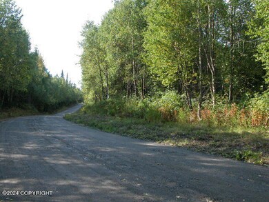 Island Lake Lot (5)