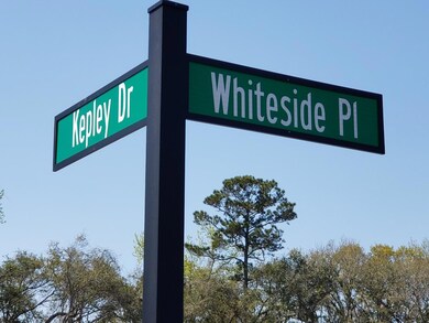 Street Sign