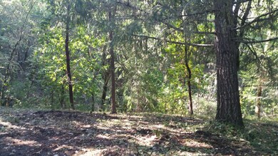 305 Hacienda Way, Grants Pass, OR 97526 - photo 4