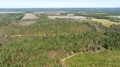 0 Highway 17 unit 21752659, Midville, GA 30441 - photo 6