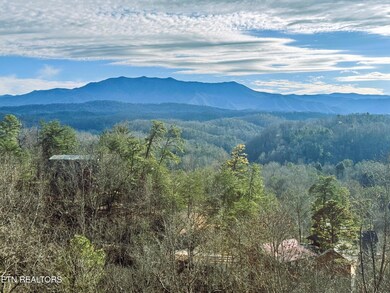0 Red Bone Way unit 1315319, Pigeon Forge, TN 37876 - photo 2