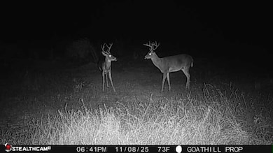 17.65 Acres Alabama 87, Samson, AL 36477 - photo 7