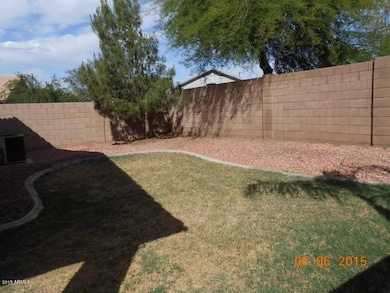 Grassy Backyard