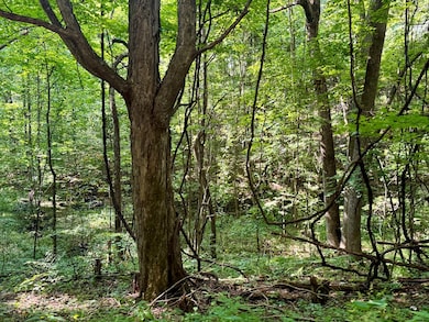 0 Williams St, Bluefield, VA 24605 - photo 4