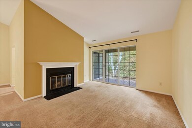 20 Rainflower Path unit 302, Sparks Glencoe, MD 21152 - photo 3