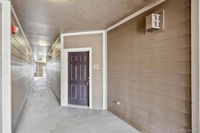 3100 Blue Sky Cir unit 14-303, Erie, CO 80516 - photo 3