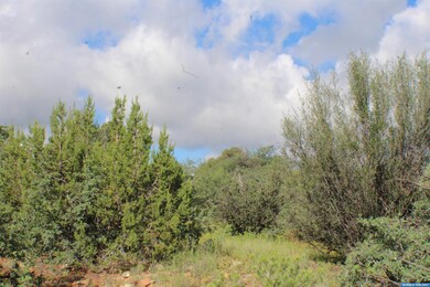 91xx Hideaway Trail, Silver City, NM 88061 - photo 2