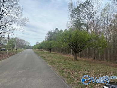 39 Fort Bluff Rd, Eva, AL 35621 - photo 5