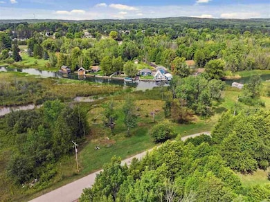 VL Spring St, Alanson, MI 49706 - photo 4