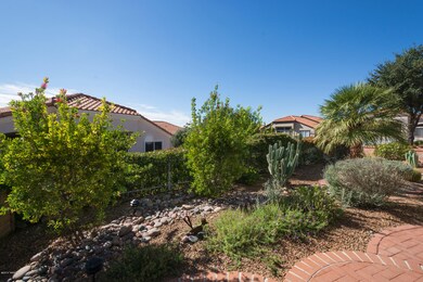 backyard-2