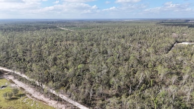 0 SE River Rd unit 25641257, Lee, FL 32059 - photo 3