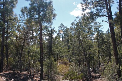 2170 S Pleasantview Dr, Show Low, AZ 85901 - photo 4