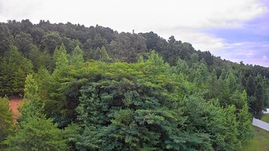 IMG_20240718_1152053