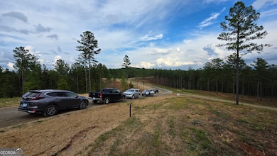 47 Springfield Pkwy, Ellijay, GA 30540 - photo 5