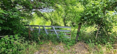 TBD E 315th, Creighton, MO 64739 - photo 5