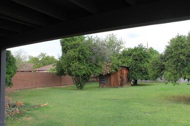 Backyard View 2
