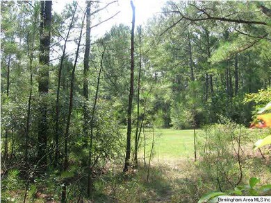 Another view of the property