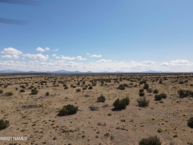 10424 W Line Cook Trail, Williams, AZ 86046 - photo 2