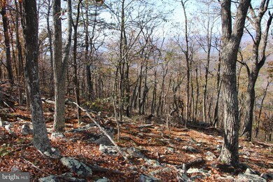 0 Cedar Rd, Strasburg, VA 22657 - photo 5