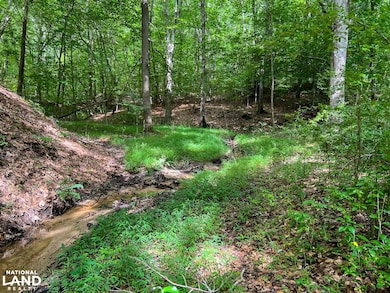 00 N Hwy 150, Pacolet, SC 29372 - photo 7