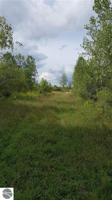 0 Turtle Rd, National City, MI 48748 - photo 5