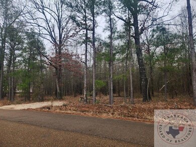 TBD Hagler Ln, Texarkana, TX 75501 - photo 3