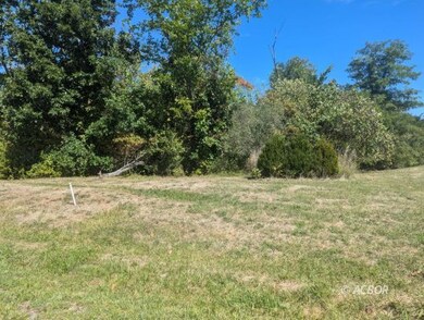 Wooded lot