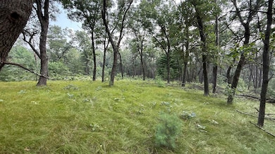 W2047 County Rd N, Lyndon Station, WI 53944 - photo 4