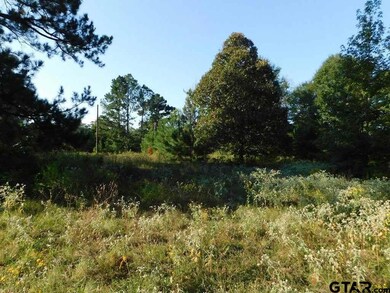 2836 Roy Rd, Tyler, TX 75791 - photo 3