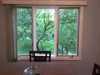 2029 Ammer Ridge Ct unit 201, Glenview, IL 60025 - photo 2