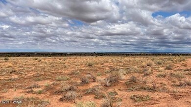 IMG_9844 (1)