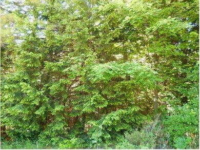 0 Route # 124~buckfield Rd unit 1141549, Hebron, ME 04238 - photo 6