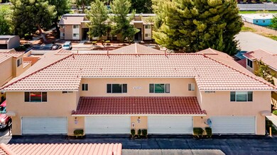 DJI_0087_MLS