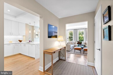 Ritz-Carlton Residences unit 313, Chevy Chase, MD 20815 - photo 4