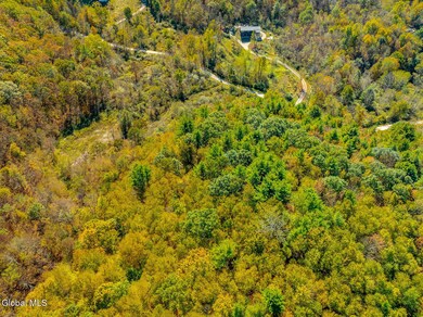 L8 Parqui Ln, Salem, NY 12865 - photo 7