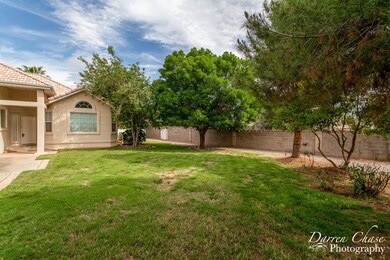Front Yard Grass
