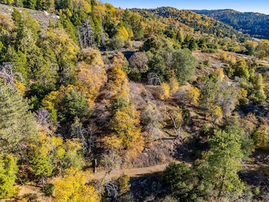 Doane Valley Rd, Palomar Mountain, CA 92060 - photo 6