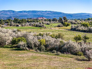 Lot 2A Bull Mesa Rd, Cedaredge, CO 81413 - photo 7