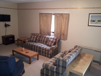 Large Stone Fireplace each sid