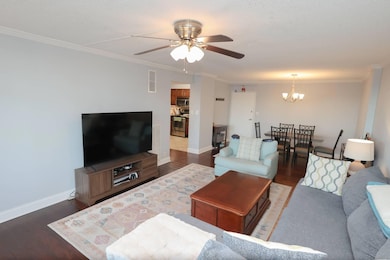 Photo 03 11 2025 01 25 23 42