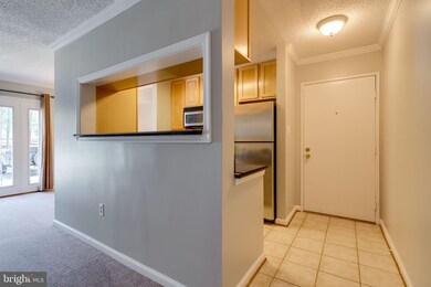 15570 Horseshoe Ln, Woodbridge, VA 22191 - photo 7