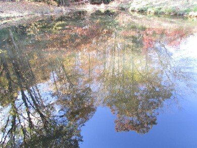 TBD Fairview Road Hampton TN 37658 (36)
