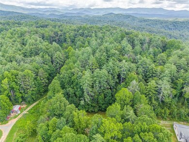 Aerial view of a forest and mountains